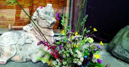 INTEGER ME · coaching the inside