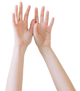 INTEGER ME · coaching the inside