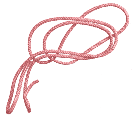 INTEGER ME · coaching the inside