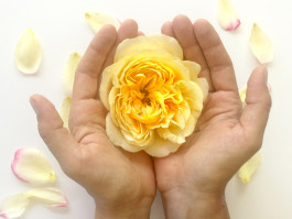 INTEGER ME · coaching the inside