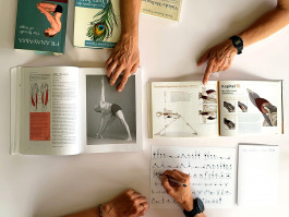 INTEGER ME · coaching the inside