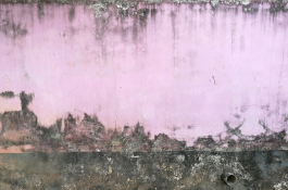 INTEGER ME · coaching the inside