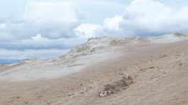 INTEGER ME · coaching the inside