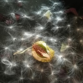 INTEGER ME · coaching the inside