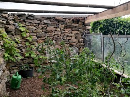 INTEGER ME · coaching the inside