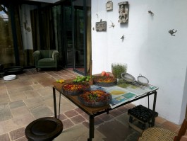 INTEGER ME · coaching the inside