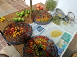 INTEGER ME · coaching the inside