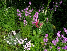 INTEGER ME · coaching the inside