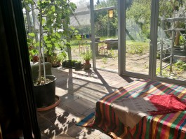 INTEGER ME · coaching the inside