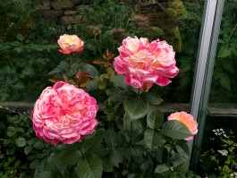 INTEGER ME · coaching the inside