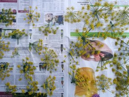 INTEGER ME · coaching the inside