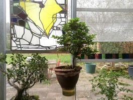 INTEGER ME · coaching the inside