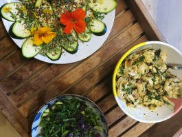 retreat pranayama  ashtanga integer me Eifel Land Meditation Yoga Räuchern raeuchern sutra Patanjali