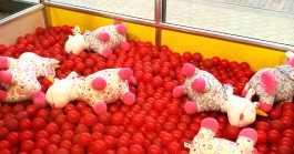 INTEGER ME · coaching the inside