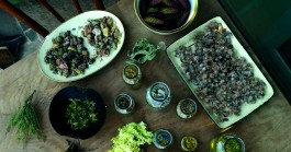 INTEGER ME · coaching the inside