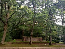 INTEGER ME · coaching the inside