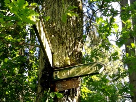 Armutstal Wildblumen Eifel integer me nirvitarka