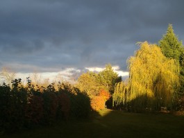 INTEGER ME · coaching the inside