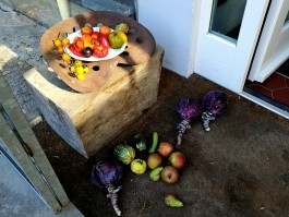 nirvitarka Garten Gemüsegarten Herbst