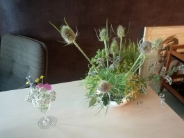  nirvitarka Wohnraum integer me