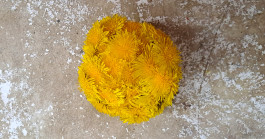 INTEGER ME · coaching the inside