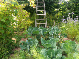 INTEGER ME · coaching the inside