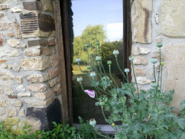 INTEGER ME · coaching the inside