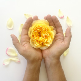 INTEGER ME · coaching the inside