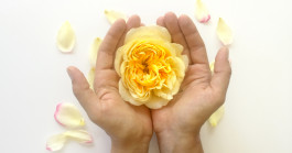 INTEGER ME · coaching the inside