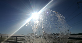 INTEGER ME · coaching the inside