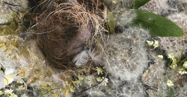 INTEGER ME · coaching the inside