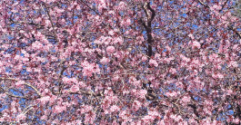 love retreat integer me vom Ego zum Selbst